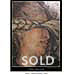 The Braid  SOLD