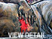 view detail