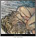 Havening   AVAILABLE